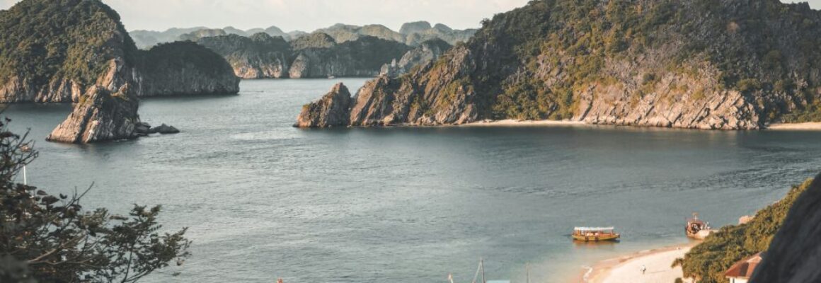 kyle-petzer-l9LlpJdyx9M-unsplash kyle-petzer-l9LlpJdyx9M-unsplash