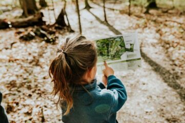 Forest Exploration